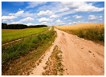 Dirt Road Dirt Road
